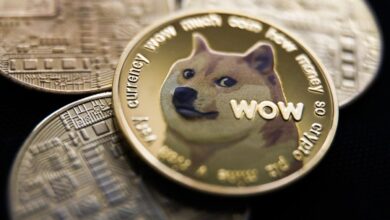 These cryptocurrencies – from Dogecoin to XRP – will outperform Bitcoin in 2024