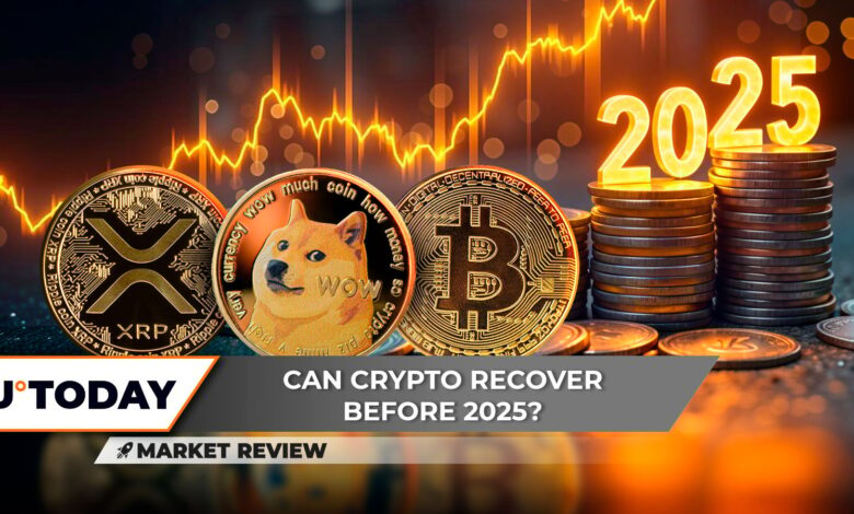 What do you expect? Dogecoin (DOGE) reaches equilibrium, and Bitcoin (BTC) reaches a critical support level