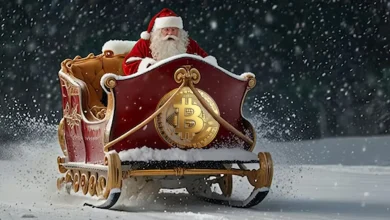 Bitcoin Price Drop and the Lost Santa Claus Rally in 2024