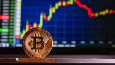 Here's what cryptocurrency investors should expect