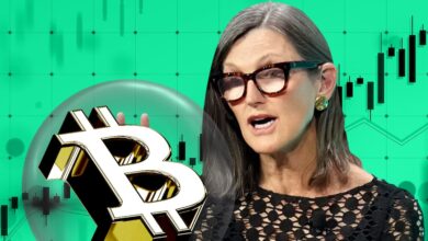 How Cathie Wood, Mike Novogratz, and Michael Saylor's 2024 Bitcoin Predictions Came Out - DL News