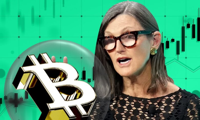 How Cathie Wood, Mike Novogratz, and Michael Saylor's 2024 Bitcoin Predictions Came Out - DL News