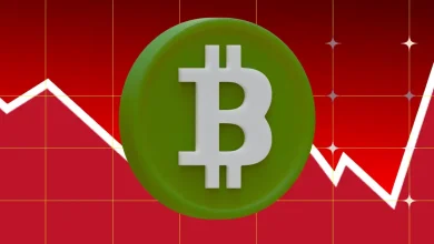 Why did the price of Bitcoin fall today?