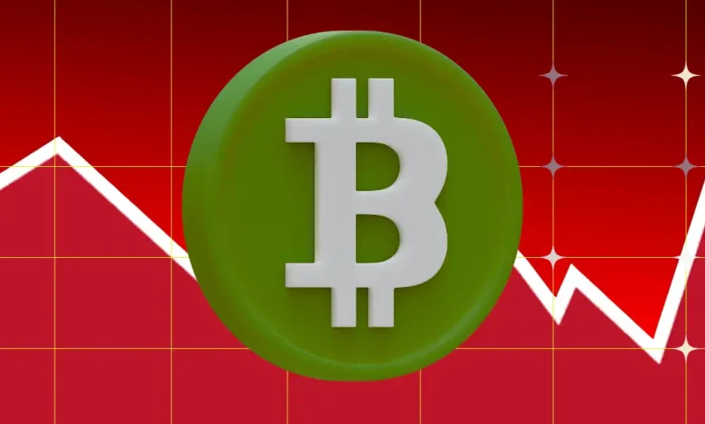 Why did the price of Bitcoin fall today?