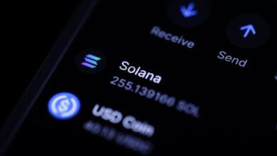 Solana Pioneer sued his ex-wife over millions in crypto returns