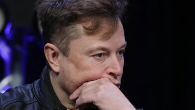 Tesla CEO Elon Musk issues US bankruptcy warning amid calls for Bitcoin-inspired 'reform'