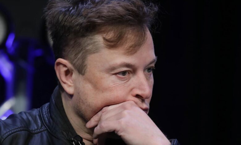 Tesla CEO Elon Musk issues US bankruptcy warning amid calls for Bitcoin-inspired 'reform'