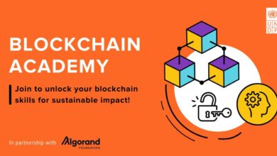 The United Nations Development Program is taking its Blockchain Academy global