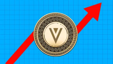 Why did Verge (XVG) price rise today?