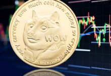 Dogecoin decreases to a 4 -month decrease like Bitcoin, XRP and Cardano Sink