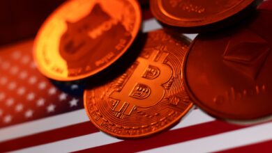 Small-cap cryptocurrencies surge ahead of Trump's inauguration, with Bitcoin trading near $100,000