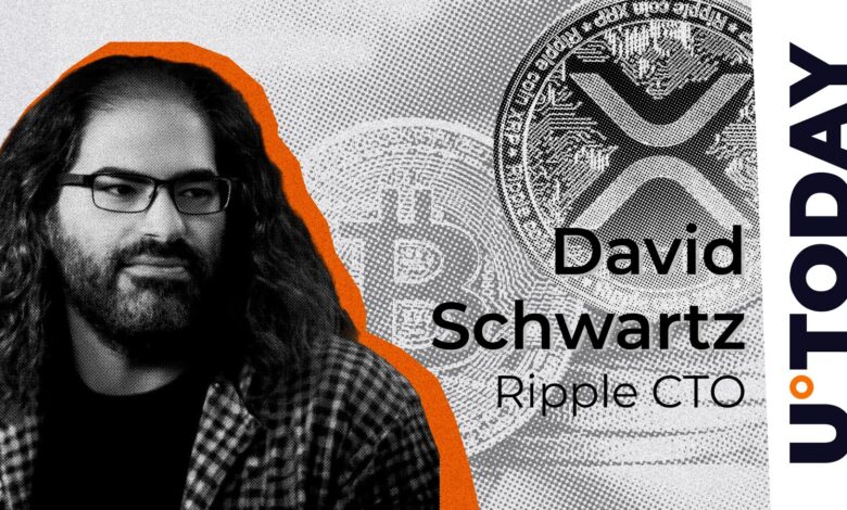 Ripple CTO shares XRP and BTC Insight