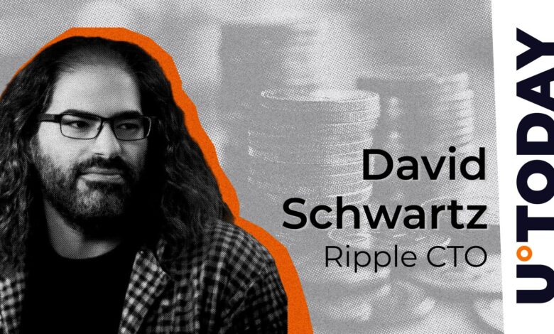 Ripple CTO reveals the bitter truth about modern encryption movement, but here hunting