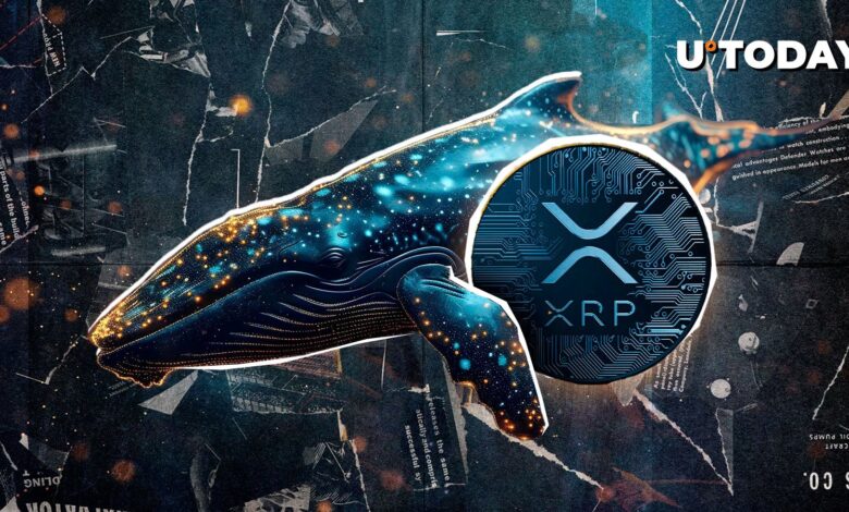 $ 360 million XRP is absorbed only by whales in 24 hours