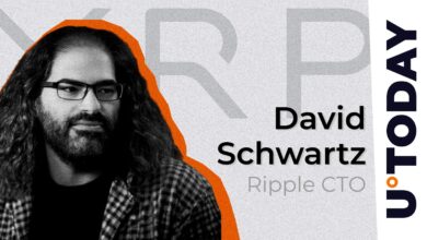 Ripple CTO finally deals with the mystery of the missing professor's book from XRP