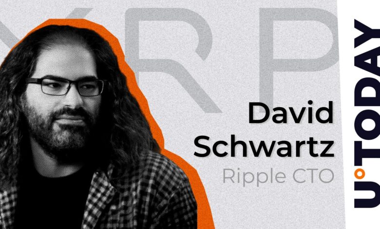 Ripple CTO finally deals with the mystery of the missing professor's book from XRP