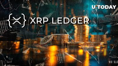 The main modification is done directly to the LEDGER XRP