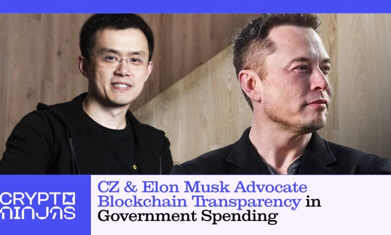 Chic Chic & Elon Musk defend Blockchain transparency in government spending