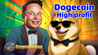 Dogecoin (Doge) enthusiasts earn $12,810 per day through cloud mining