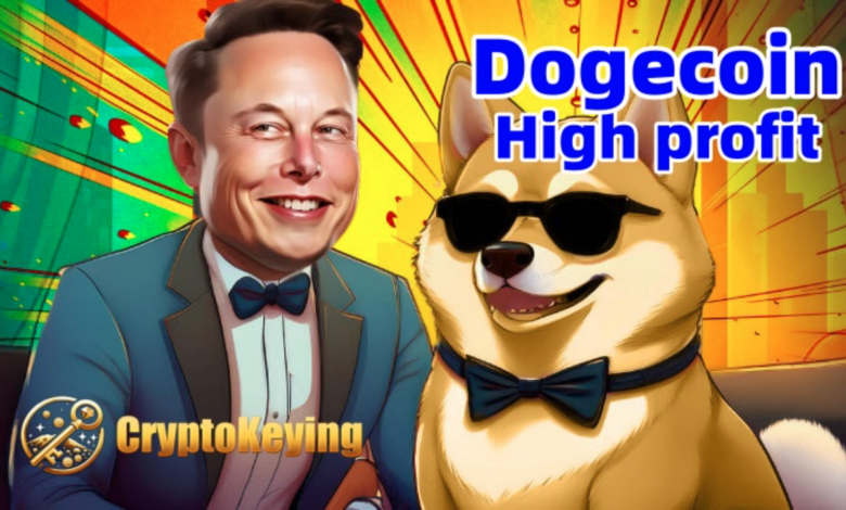 Dogecoin (Doge) enthusiasts earn $12,810 per day through cloud mining