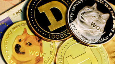 Dogecoin Drops 10%, Bonk and AI16Z See Bigger Losses as Cryptocurrency Market Drops