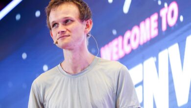 Ethereum's Vitalik Buterin has just endorsed the controversial Milady NFT