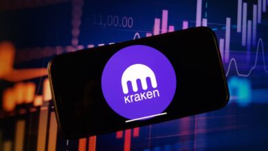 Kraken's revenues are more than twice during the year 2024 Mashfar Boom