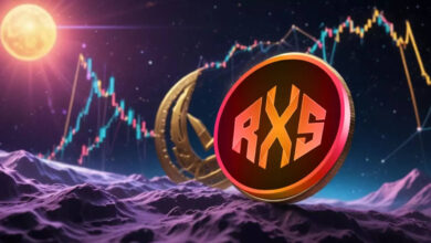 RXS Crypto Price Prediction: Should you buy and hold Rexas Finance in 2025 to maximize profits?