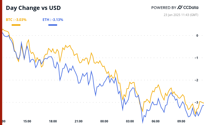 Retail demand for BTC provides strong support in a weaker cryptocurrency market