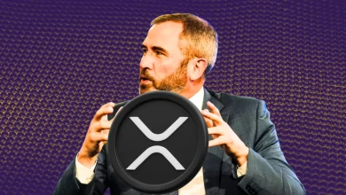 Ripple CEO reveals talks with Trump about making XRP part of the American strategic reserve