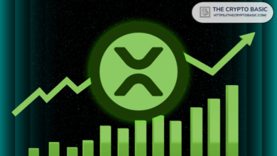 Analysts who expected the XRP Rally at $ 0.5 now an increase in an increase in $ 3