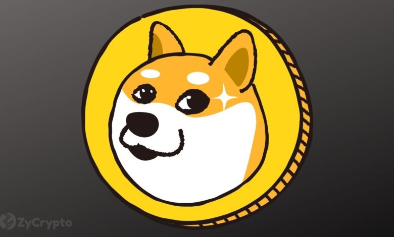 The Elon Musk DOGE is studying the use of Blockchain to enhance the efficiency and transparency of the American government ⋆ Zycrypto