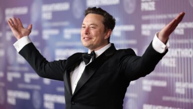 The leak reveals that Doug Musk may be on the cusp of a Bitcoin-inspired price game changer