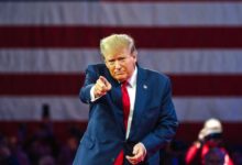 764k Trump Meme Compuns reportedly lost money
