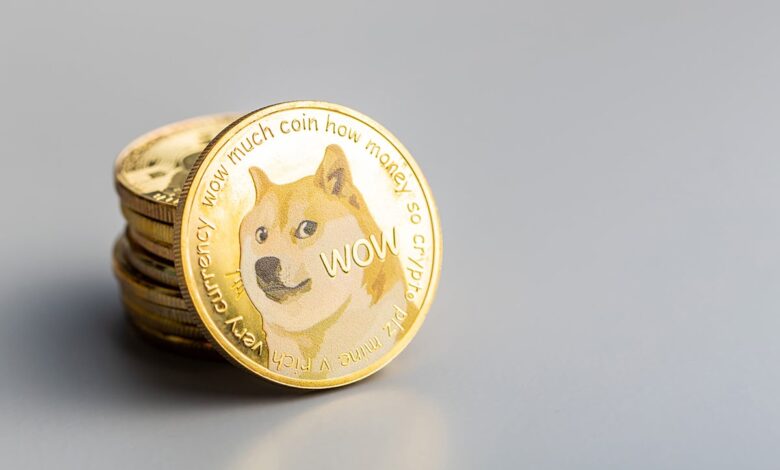 Underly expected musk display of Dogecoin creator