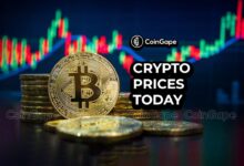 BTC affects 95 thousand dollars low, altcoins show mixed measures