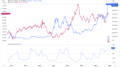 With US financial conditions the most resilient in years, Bitcoin could continue to thrive: Van Straaten