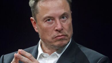 'X Money' leak reveals Elon Musk's game-changing plan as Bitcoin price approaches $100,000