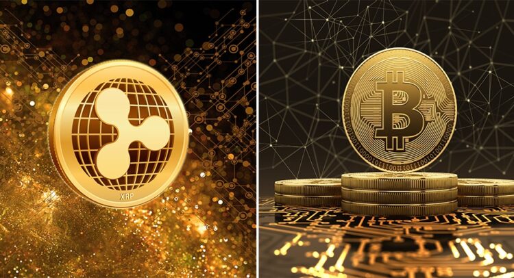 Ripple (XRP) or Bitcoin: This investor chooses the premium cryptocurrency to purchase