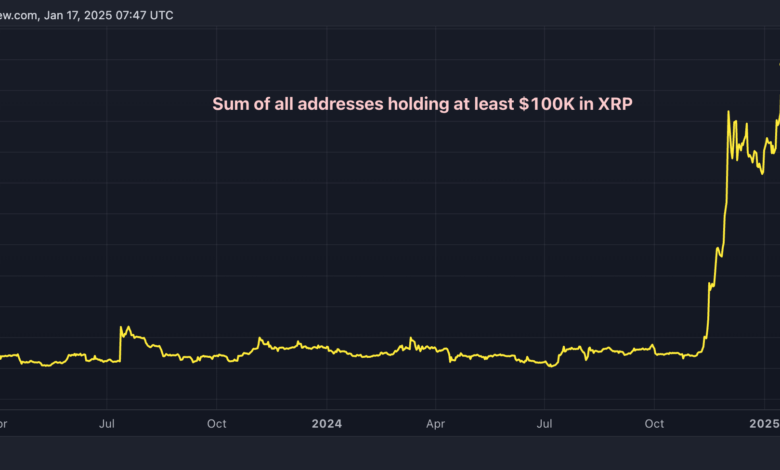 XRP volume exceeds Bitcoin on Coinbase as US investor interest grows | Currency News | Financial and business news