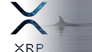 XRP whales occupy 120 meters of symbols that hints from the previous interior in a big penetration