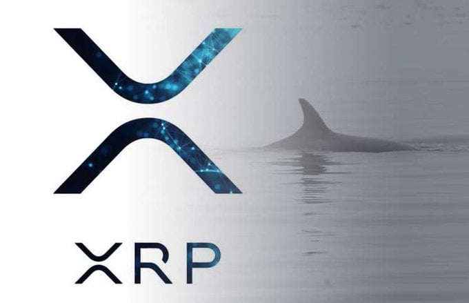 XRP whales occupy 120 meters of symbols that hints from the previous interior in a big penetration