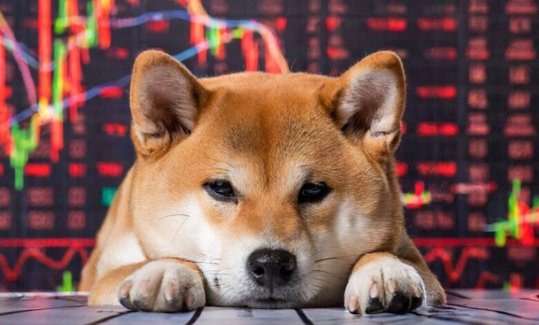 Dogecoin gives up all its gains in 2025 as Bitcoin and Solana continue to decline