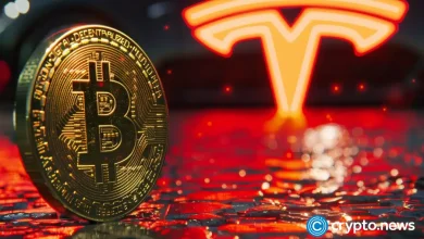 Bitcoin Tesla has not saved only the biggest problem was delayed