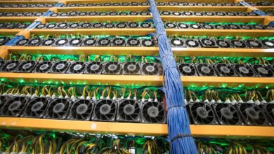 Canadian bitcoin miner bitfarms Mulls Pivot for artificial intelligence data centers