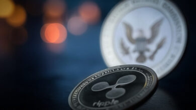 Ripple CEO calls SEC appeal "crazy" as legal battle intensifies