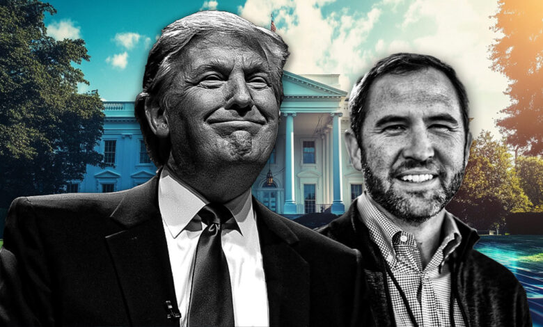 Ripple CEO Brad Garlinghouse praises Donald Trump meeting as cryptocurrency participation grows in the US