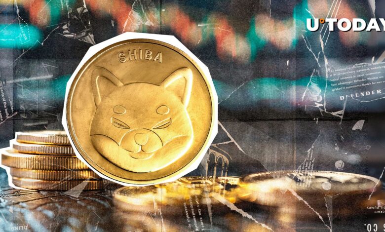 Shiba Ina Tim announces a key rule for a new crypto era