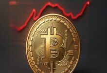 Cripto Market Shakekekeken as Bitcoin drops over 20% of its peak: Is this the start of the bear phase?