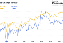 BTC traders separate on a constant foster interest rate schedule